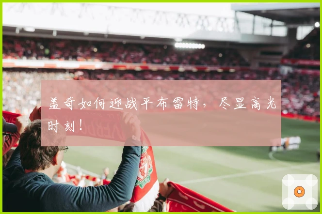 盖奇如何迎战平布雷特，尽显高光时刻！