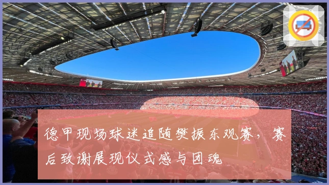 德甲现场球迷追随樊振东观赛，赛后致谢展现仪式感与团魂